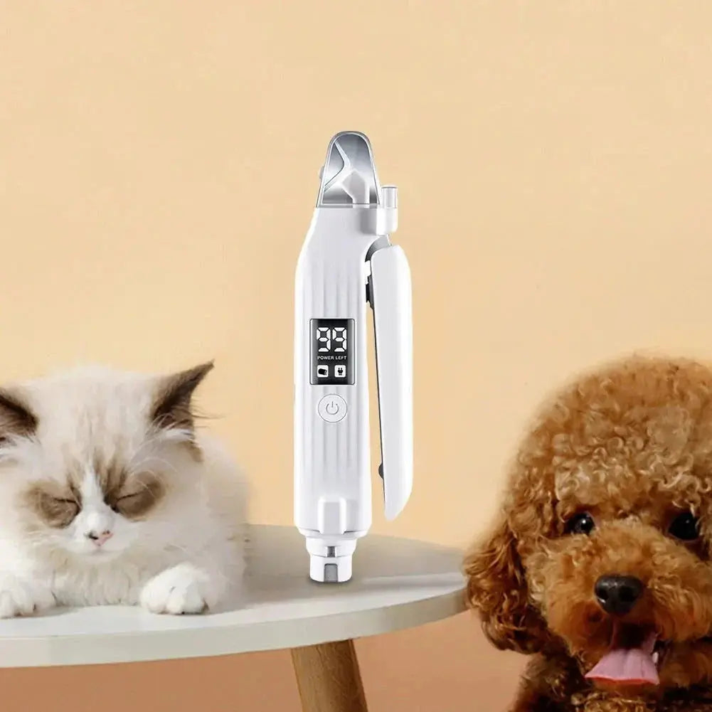 PETS & TOYS
