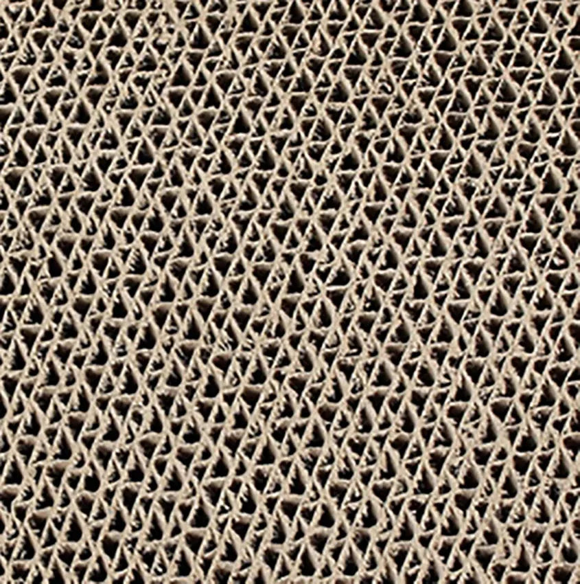 How to Train Your Cats Not to Scratch The Furniture: The Benefits of Cat Kitten Scratching Post