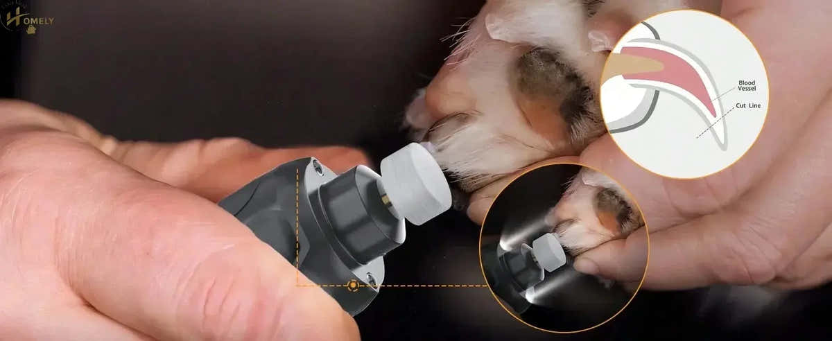6-Speed Electric Pet Nail Grinder – Quiet – view 2