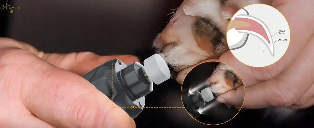 6-Speed Electric Pet Nail Grinder – Quiet – view 2
