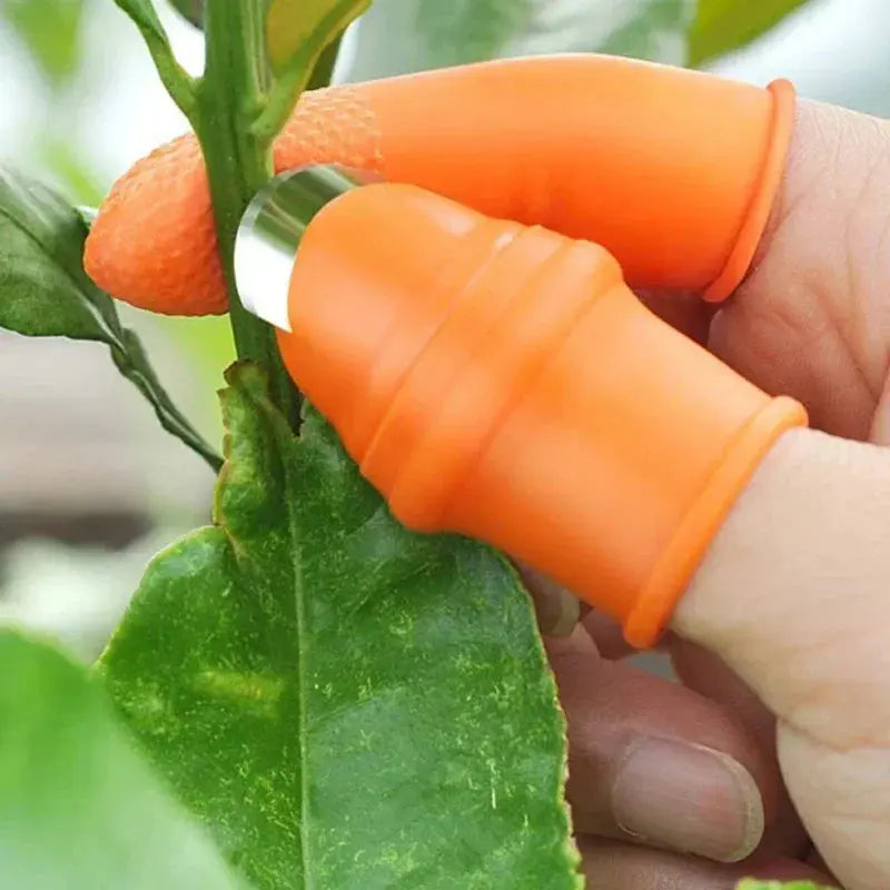 Finger Guard Cutter – Safe Vegetable Slicing