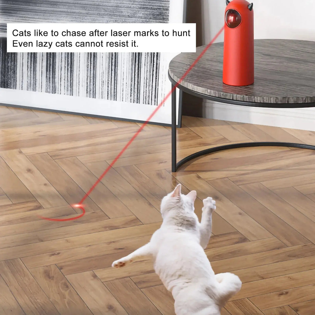 Automatic Laser Toy for Cats & Dogs – view 3